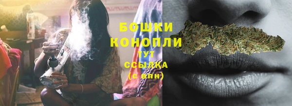 индика Волосово