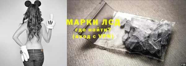 индика Волосово