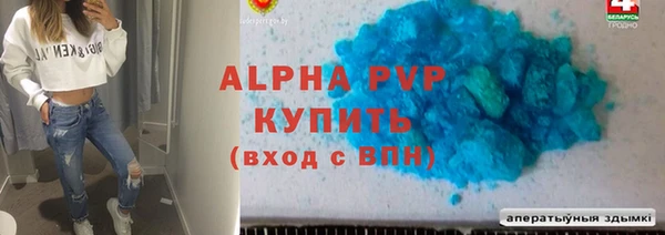 индика Волосово