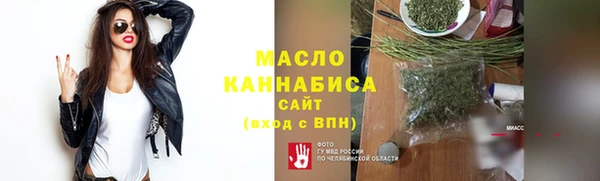 индика Волосово