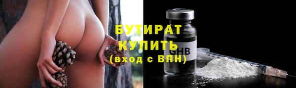 индика Волосово