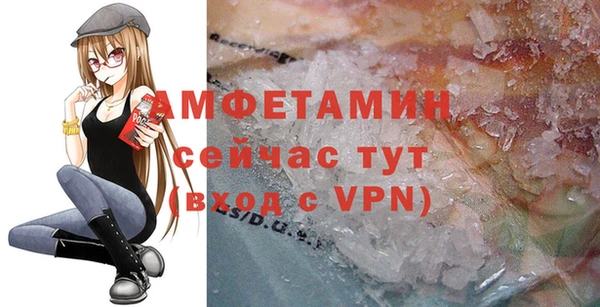 индика Волосово