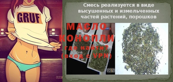 индика Волосово