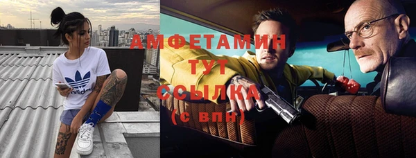 индика Волосово