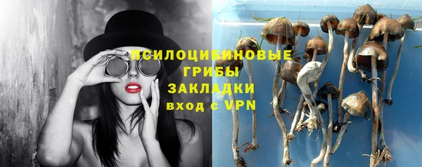 тгк Волоколамск