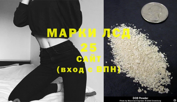 индика Волосово