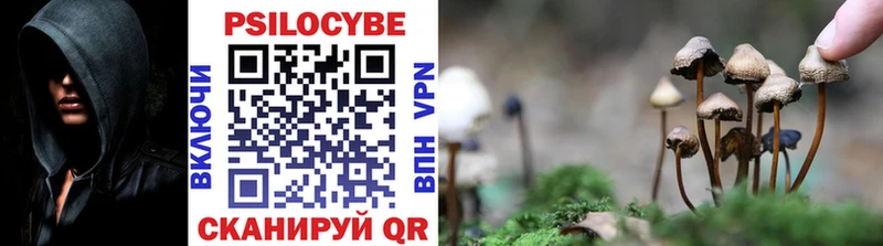 Галлюциногенные грибы прущие грибы  купить наркотики сайты  KRAKEN вход  Серпухов 